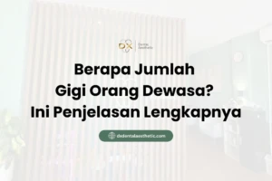 Berapa Jumlah Gigi Orang Dewasa? Ini Penjelasan Lengkapnya - DX Dental Aesthetic