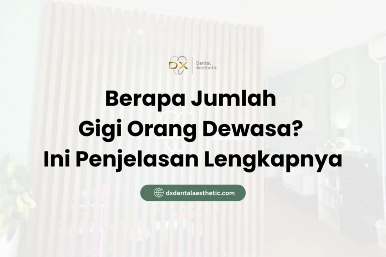 Berapa Jumlah Gigi Orang Dewasa? Ini Penjelasan Lengkapnya - DX Dental Aesthetic