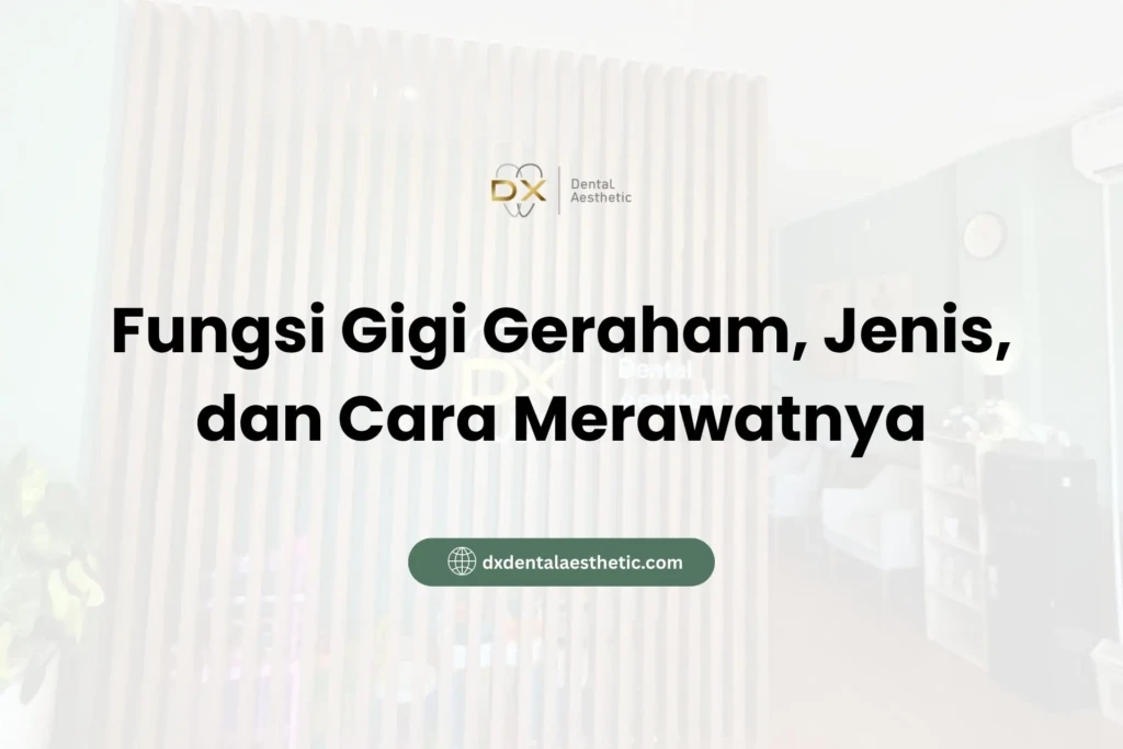 Fungsi Gigi Geraham, Jenis, dan Cara Merawatnya